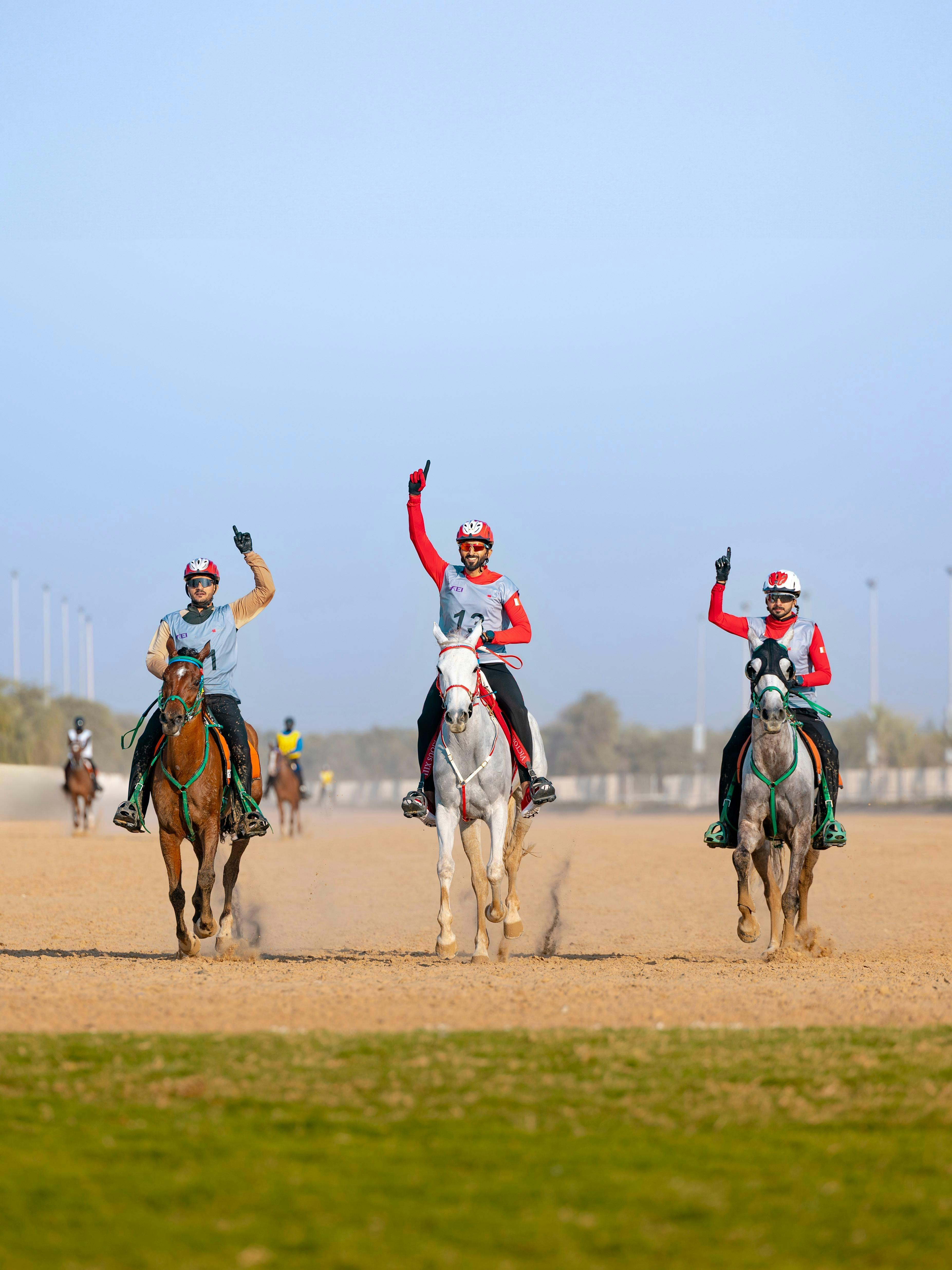 FEI Endurance World Championship