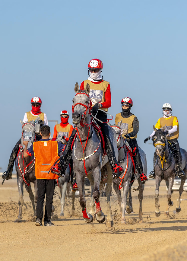 FEI World Championship