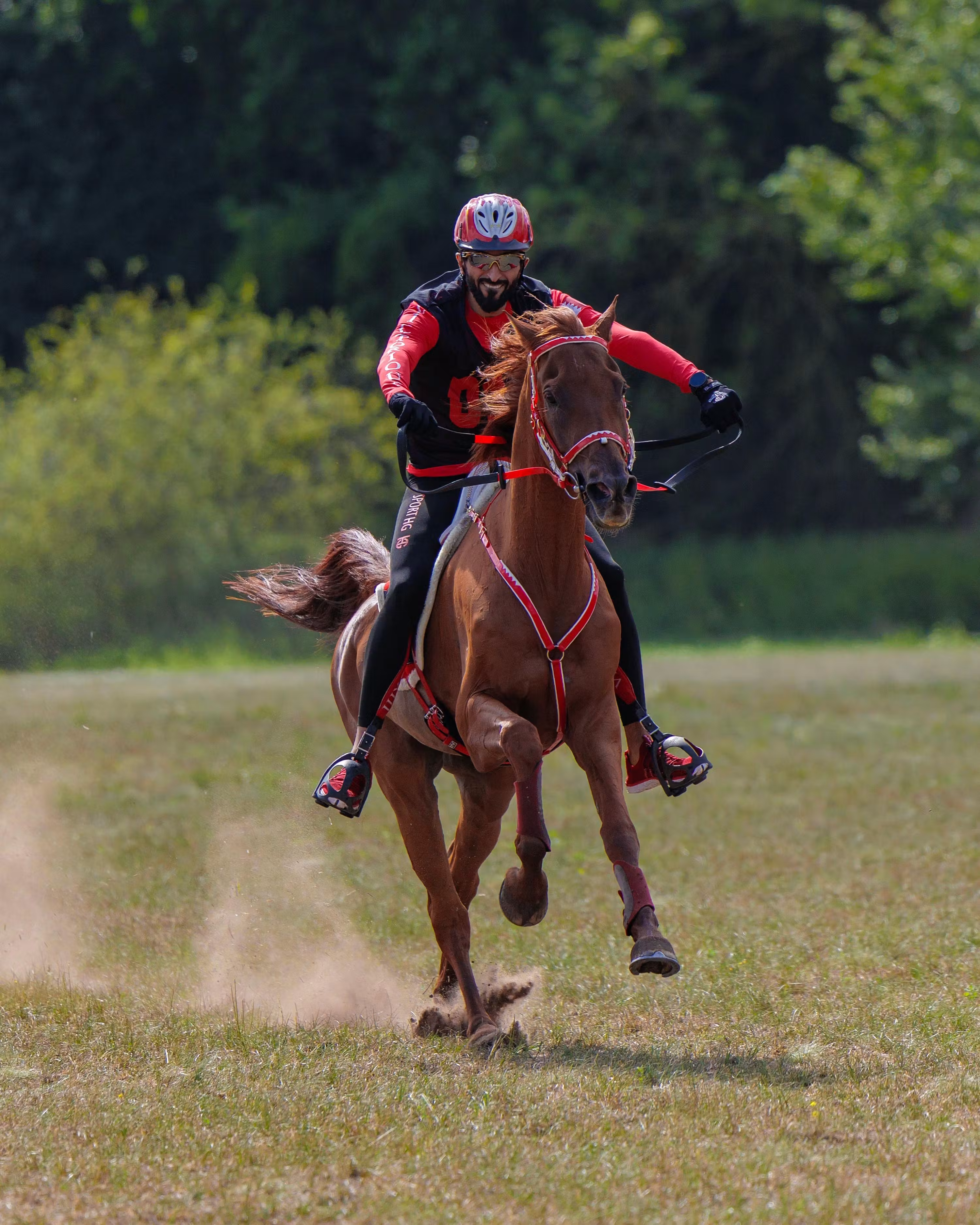 FEI Endurance Event