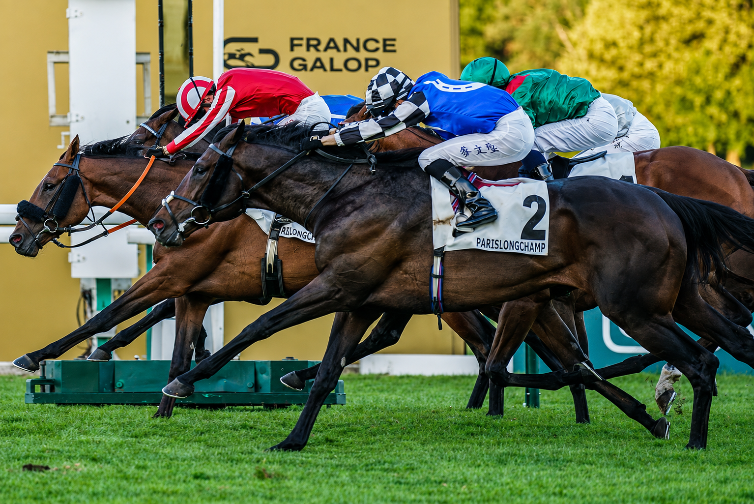 Thoroughbred horses racing at France Galop