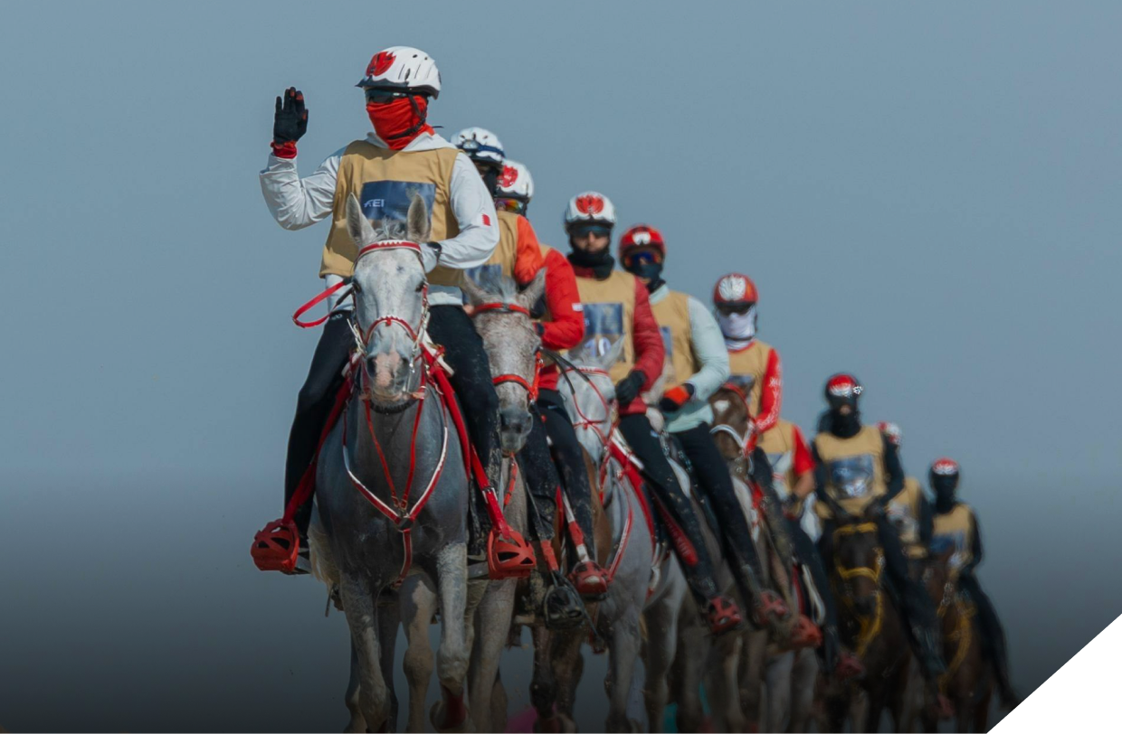 Endurance discipline
