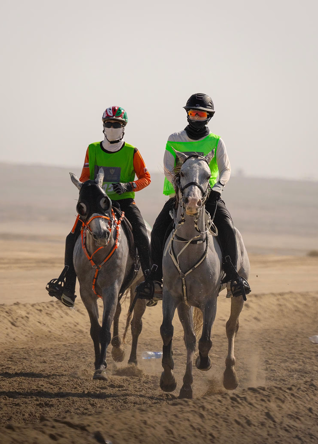 FEI Endurance World Championship